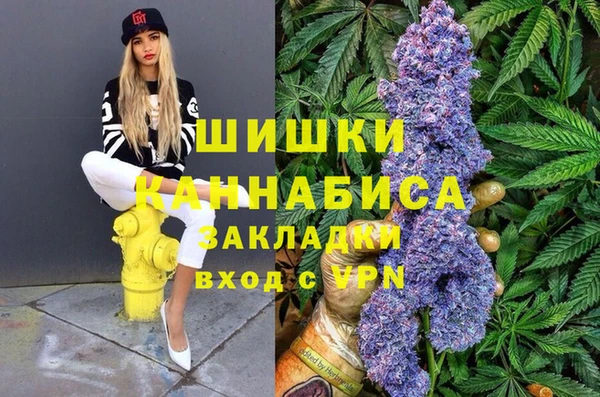 гидра Аркадак