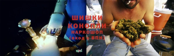 гидра Аркадак
