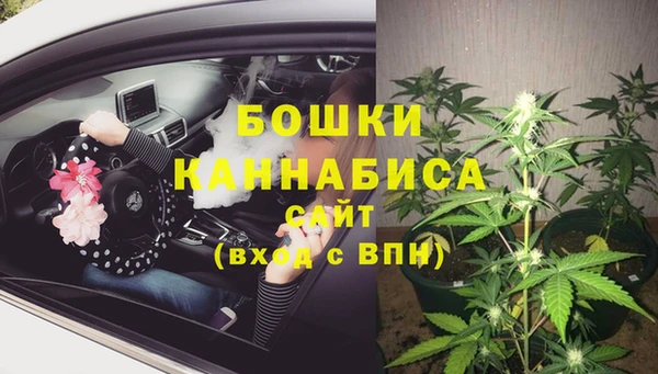гидра Аркадак