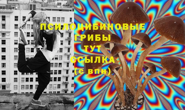 соль курить ск Алексеевка