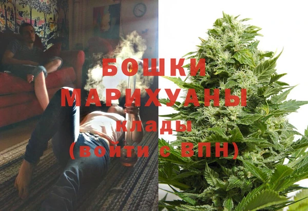 стафф Арсеньев