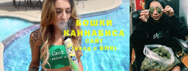 гидра Аркадак